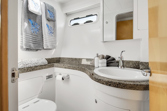 Blue Gryphon Guest Bathroom 3