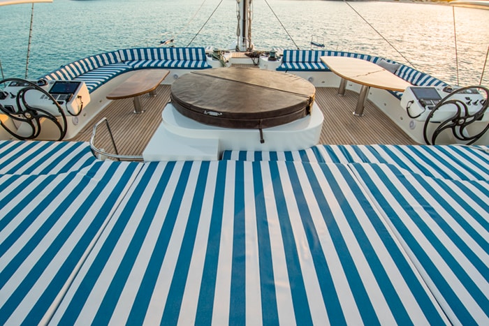 Blue Gryphon Jacuzzi Covered