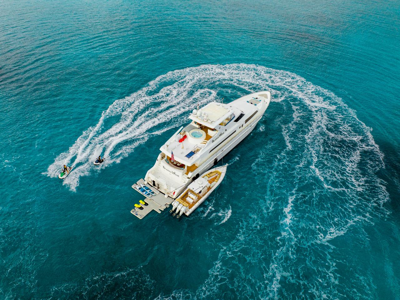 brandi wine - aerial