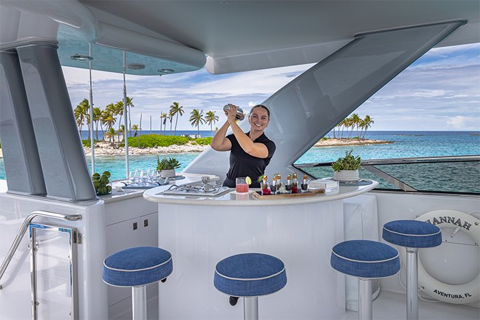 Motor yacht Hannah flybridge bar